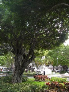 Ponce