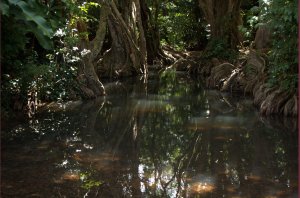 Indian River
