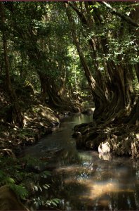 Indian River