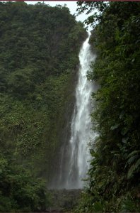 Chute du Carbet