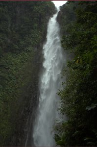 Chute du Carbet