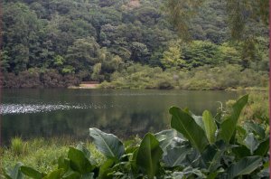 Grand Etang