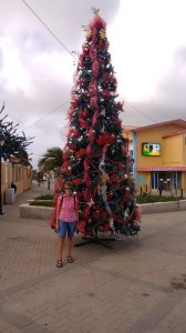 kerstboom