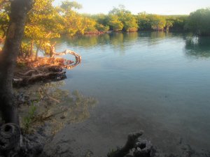 Kreek bij Gillican Island