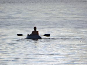A in sunfish