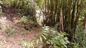 wag water trail