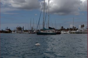 Bodyguard aan mooring