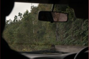 Uitzicht vanuit auto