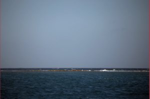 Alligator Reef