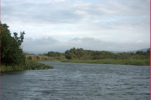 Black River