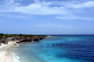 Directeursbaai