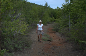 Wandeling op Orchid Trail