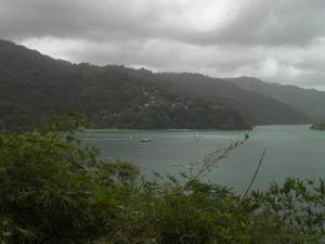 Bodyguard in Man O'War Bay