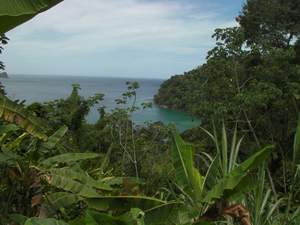 Pirates Bay