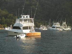 Vissersboten in Man O War Bay voor de wedstrijd