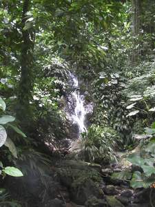 Waterval