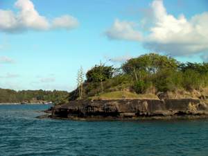 De oever van Hog Island vanaf Clarkes Court Bay