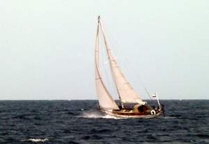 Colombe kruist naar Tobago Cays