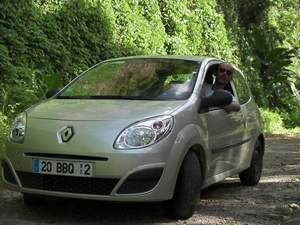 Onze gehuurde twingo voor 44 euro per dag