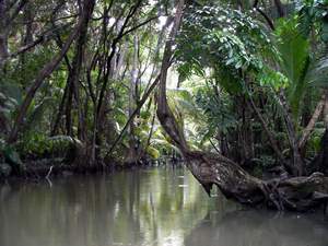 Indian River