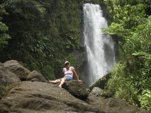 Ank op steen bij Trafalgar Falls