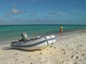 Geland op het strand