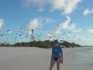 De vuurtoren en heel veel vogels