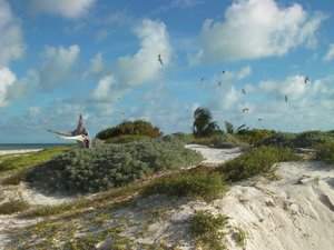 In het midden is het eiland groen begroeid