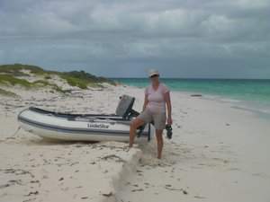 Bijboot hoog op het strand