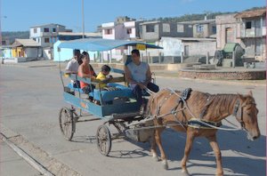 Paardentaxi in Baracoa