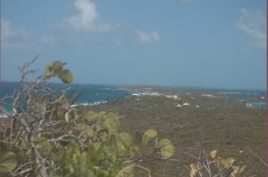 Oostkant van het eiland
