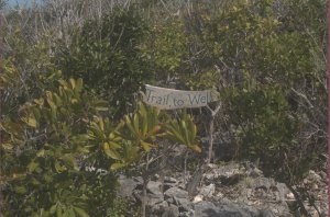 Trail to well