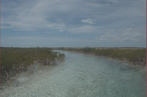 Kreek