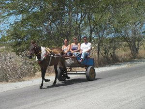 Paard en wagen zie je hier vaak op de weg