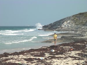Westkant van Hog Cay, Ragged Islands