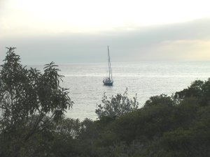 Nurse Cay