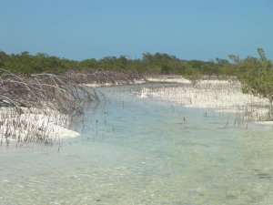 Kreek op Shroud Cay