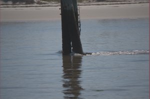 Stroom tegen; we gaan maar 2,5 kts