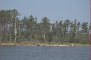 Langs de ICW onderweg naar Campbell Creek