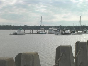 Bodyguard in Downtown Marina Beaufort