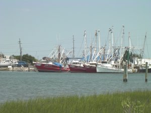 Vissersvloot