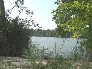 Fairlee Creek