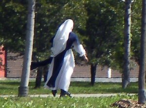 Non op skates
