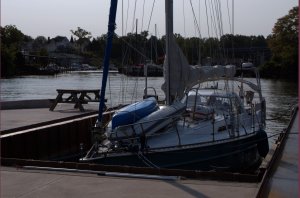 Bodyguard in Olcott