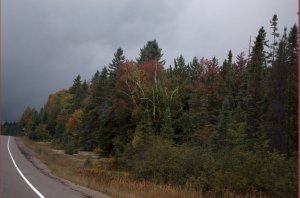  Onderweg terug naar Toronto op route 60