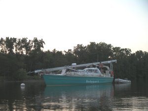Bodyguard met mast plat